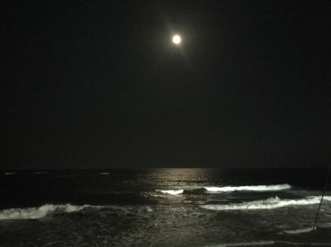 FullSizeRender (165)